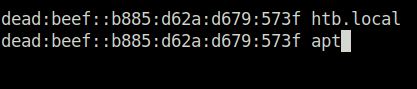 HTB - APT adding hostname