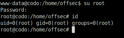 PG - Codo got root