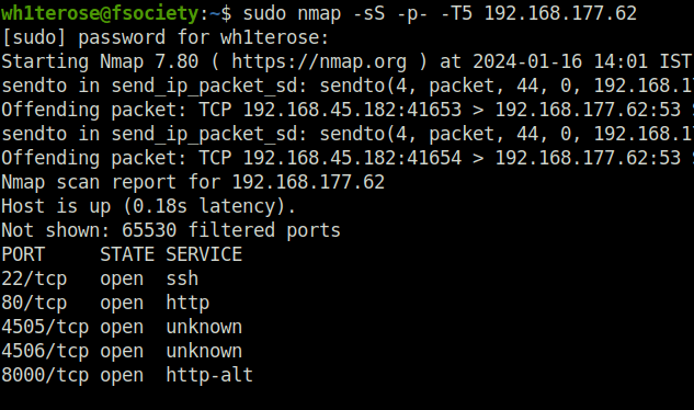 PG - Twiggy all tcp port scan