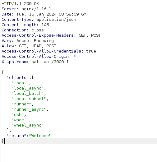 PG - Twiggy Burpsuite response