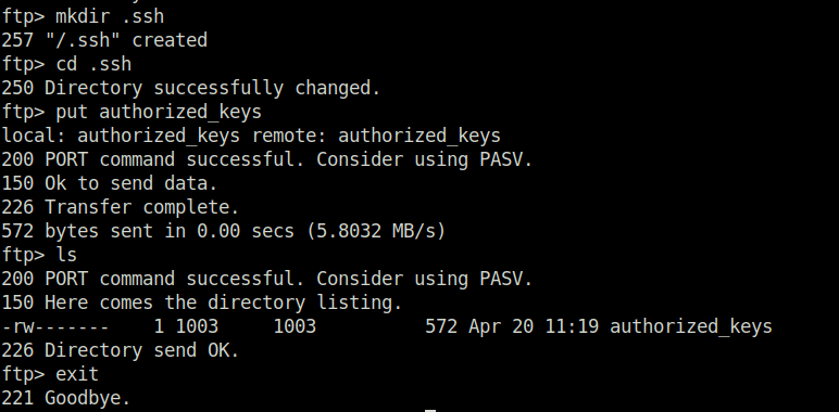 Vulnlab - Sync uploading SSH keys